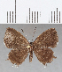  ( - CFC11543)  @11 [ ] Copyright (2019) Christer Fahraeus Center For Collection-Based Research
