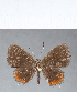  ( - CFC11545)  @11 [ ] Copyright (2018) Christer Fahraeus Center For Collection-Based Research