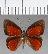  ( - CFC11574)  @11 [ ] Copyright (2019) Christer Fahraeus Center For Collection-Based Research