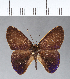  ( - CFC11589)  @11 [ ] Copyright (2018) Christer Fahraeus Center For Collection-Based Research