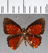  ( - CFC11666)  @11 [ ] Copyright (2019) Christer Fahraeus Center For Collection-Based Research