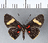  ( - CFC11691)  @11 [ ] Copyright (2018) Christer Fahraeus Center For Collection-Based Research