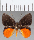  ( - CFC11746)  @11 [ ] Copyright (2019) Christer Fahraeus Center For Collection-Based Research