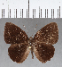  ( - CFC11757)  @11 [ ] Copyright (2019) Christer Fahraeus Center For Collection-Based Research
