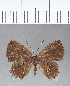  ( - CFC11944)  @11 [ ] Copyright (2018) Christer Fahraeus Center For Collection-Based Research