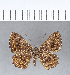  ( - CFC11958)  @11 [ ] Copyright (2018) Christer Fahraeus Center For Collection-Based Research