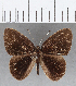  ( - CFC11976)  @11 [ ] Copyright (2019) Christer Fahraeus Center For Collection-Based Research