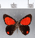  ( - CFC11999)  @11 [ ] Copyright (2018) Christer Fahraeus Center For Collection-Based Research