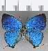  ( - CFC12023)  @11 [ ] Copyright (2019) Christer Fahraeus Center For Collection-Based Research