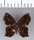  ( - CFC12026)  @11 [ ] Copyright (2018) Christer Fahraeus Center For Collection-Based Research