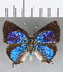  ( - CFC12049)  @11 [ ] Copyright (2019) Christer Fahraeus Center For Collection-Based Research