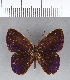  ( - CFC12052)  @11 [ ] Copyright (2018) Christer Fahraeus Center For Collection-Based Research