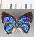  ( - CFC12076)  @11 [ ] Copyright (2019) Christer Fahraeus Center For Collection-Based Research