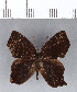  ( - CFC12118)  @11 [ ] Copyright (2018) Christer Fahraeus Center For Collection-Based Research