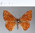  ( - CFC12134_2)  @11 [ ] Copyright (2019) Christer Fahraeus Center For Collection-Based Research