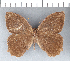  ( - CFC12173)  @11 [ ] Copyright (2018) Christer Fahraeus Center For Collection-Based Research