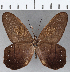  ( - CFC12252)  @11 [ ] Copyright (2019) Christer Fahraeus Center For Collection-Based Research