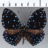  ( - CFC12269)  @11 [ ] Copyright (2019) Christer Fahraeus Center For Collection-Based Research