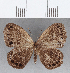  ( - CFC12407)  @11 [ ] Copyright (2019) Christer Fahraeus Center For Collection-Based Research