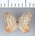  ( - CFC12408)  @11 [ ] Copyright (2018) Christer Fahraeus Center For Collection-Based Research
