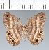  ( - CFC12435)  @11 [ ] copyright (2022) Center For Collection-Based Research Center For Collection-Based Research