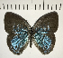  ( - CFC12471)  @13 [ ] Copyright (2018) Christer Fahraeus Center For Collection-Based Research