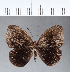  ( - CFC12505)  @11 [ ] Copyright (2018) Christer Fahraeus Center For Collection-Based Research
