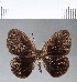  ( - CFC12507)  @11 [ ] Copyright (2018) Christer Fahraeus Center For Collection-Based Research