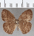  ( - CFC12554)  @11 [ ] copyright (2020) Christer Fahraeus Center For Collection-Based Research