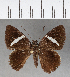  ( - CFC01258)  @13 [ ] Copyright (2018) Christer Fahraeus Center For Collection-Based Research