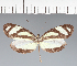  ( - CFC12609)  @11 [ ] copyright (2023) Center For Collection-Based Research Center For Collection-Based Research