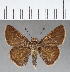  ( - CFC01262)  @11 [ ] Copyright (2018) Christer Fahraeus Center For Collection-Based Research