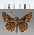  ( - CFC01264)  @13 [ ] Copyright (2018) Christer Fahraeus Center For Collection-Based Research