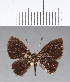  ( - CFC12707)  @11 [ ] Copyright (2018) Christer Fahraeus Center For Collection-Based Research