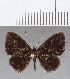  ( - CFC12708)  @11 [ ] Copyright (2019) Christer Fahraeus Center For Collection-Based Research