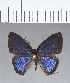  ( - CFC12720)  @11 [ ] Copyright (2018) Christer Fahraeus Center For Collection-Based Research