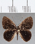  ( - CFC12722)  @11 [ ] Copyright (2019) Christer Fahraeus Center For Collection-Based Research