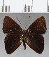  ( - CFC12763)  @11 [ ] Copyright (2019) Christer Fahraeus Center For Collection-Based Research