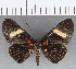  ( - CFC12796)  @11 [ ] Copyright (2019) Christer Fahraeus Center For Collection-Based Research