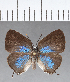  ( - CFC12818)  @11 [ ] Copyright (2018) Christer Fahraeus Center For Collection-Based Research