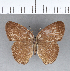  ( - CFC01284)  @11 [ ] Copyright (2018) Christer Fahraeus Center For Collection-Based Research