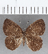  ( - CFC12902)  @11 [ ] Copyright (2019) Christer Fahraeus Center For Collection-Based Research