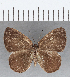  ( - CFC12903)  @11 [ ] Copyright (2019) Christer Fahraeus Center For Collection-Based Research