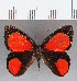  ( - CFC12934)  @11 [ ] Copyright (2019) Christer Fahraeus Center For Collection-Based Research