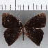  ( - CFC12991)  @11 [ ] Copyright (2019) Christer Fahraeus Center For Collection-Based Research