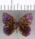  ( - CFC13011)  @11 [ ] Copyright (2019) Christer Fahraeus Center For Collection-Based Research
