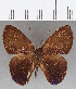  ( - CFC13016)  @11 [ ] Copyright (2019) Christer Fahraeus Center For Collection-Based Research