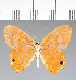  ( - CFC13017)  @11 [ ] copyright (2022) Center For Collection-Based Research Center For Collection-Based Research