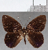  ( - CFC13047)  @11 [ ] Copyright (2019) Christer Fahraeus Center For Collection-Based Research