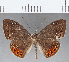  ( - CFC13074)  @11 [ ] Copyright (2019) Christer Fahraeus Center For Collection-Based Research
